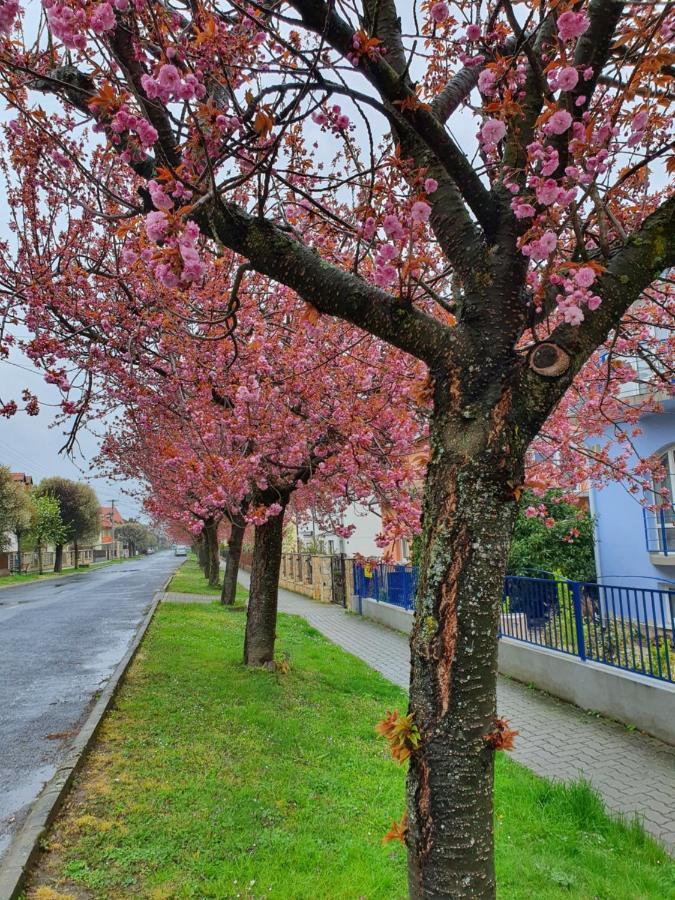 Laguna Apartmanhaz Hévíz المظهر الخارجي الصورة