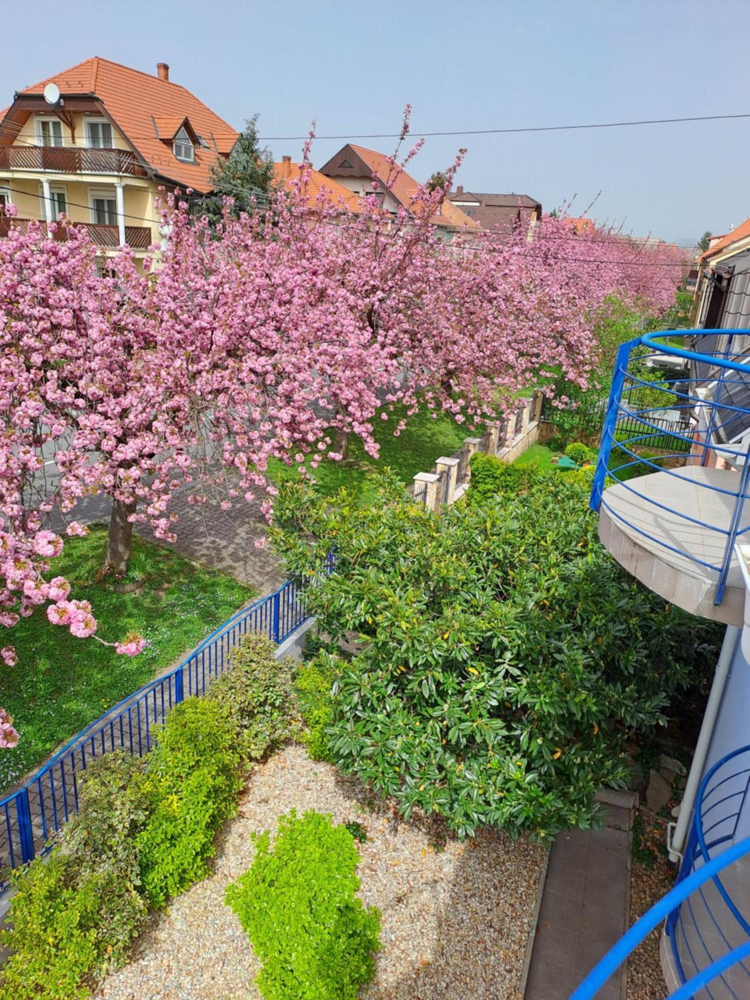 Laguna Apartmanhaz Hévíz المظهر الخارجي الصورة